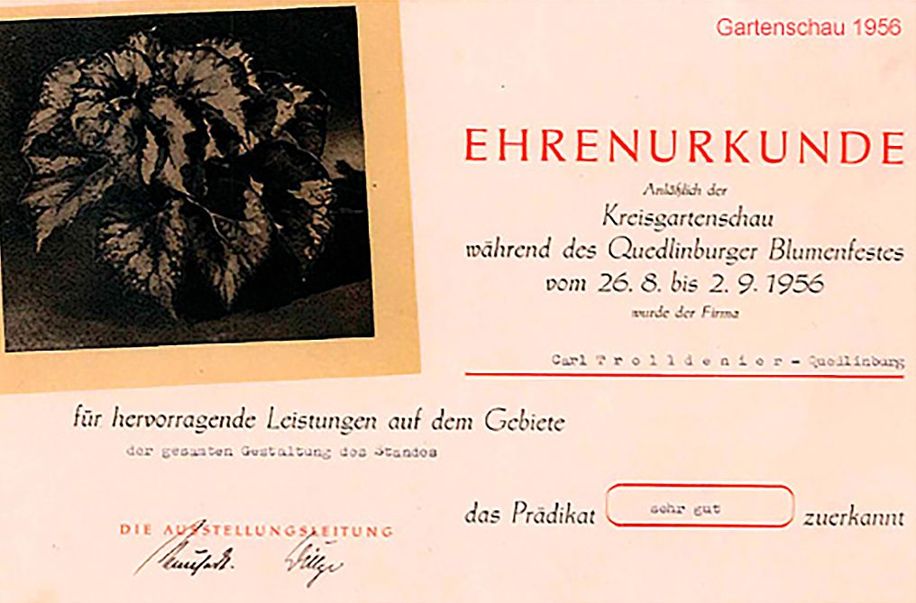 Gartenschau 1953